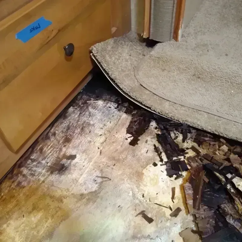 Best Wood Floor Water Damage Service in South Highpoint, FL